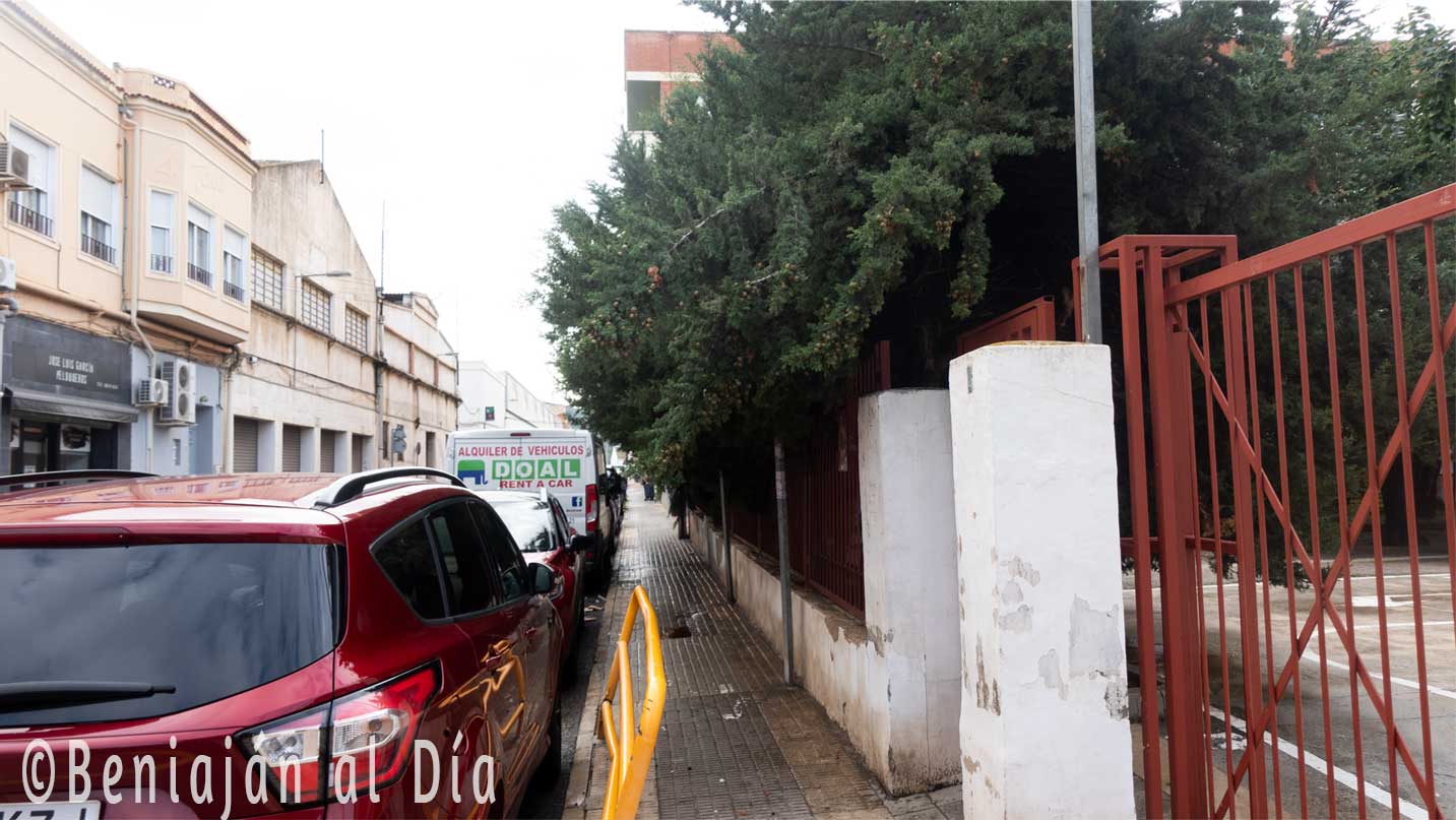 Tramo de la acera de la calle Las Escuelas en Beniaján, con ramas de los cipreses del CEIP La Naranja que sobresalen por encima de la valla e invaden parcialmente el paso de los peatones.