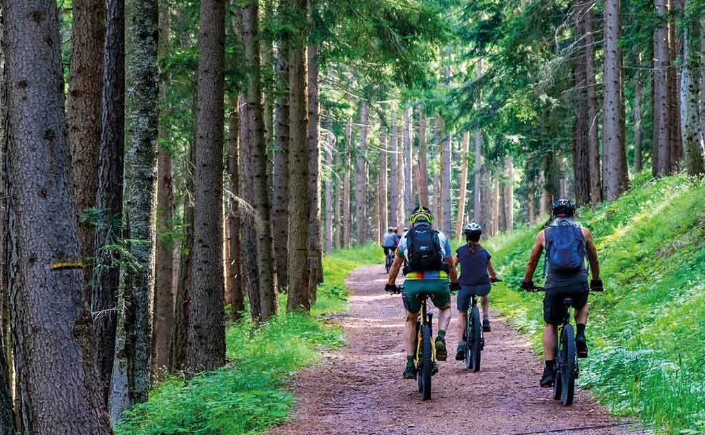 Grupo de ciclistas en un sendero, fomentando la movilidad sostenible y el uso de la bicicleta como pilar ecológico.