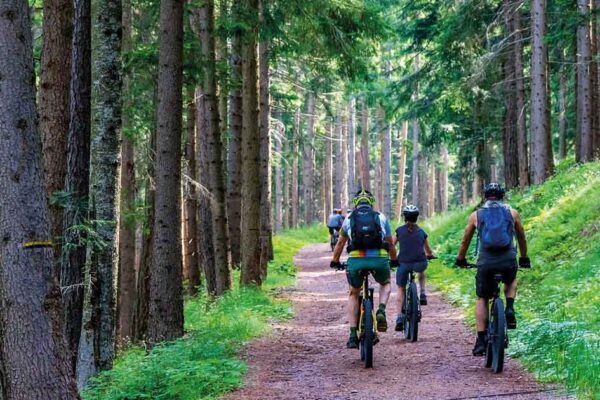 Grupo de ciclistas en un sendero, fomentando la movilidad sostenible y el uso de la bicicleta como pilar ecológico.