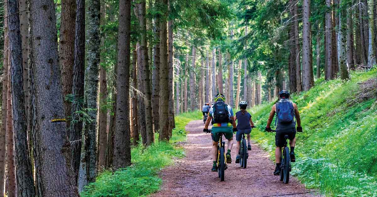 Grupo de ciclistas en un sendero, fomentando la movilidad sostenible y el uso de la bicicleta como pilar ecológico.