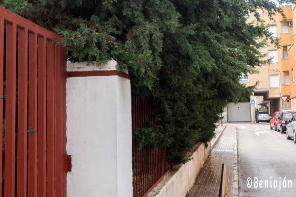 Acera frente al Colegio Público La Naranja en Beniaján parcialmente ocupada por ramas de los árboles, dificultando el paso de peatones.