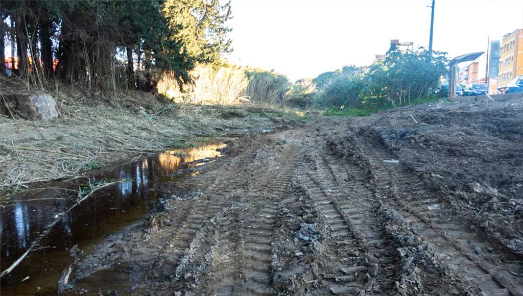 Tramo de la rambla del Garruchal tras el inicio de los trabajos de limpieza, mostrando un barrizal con charcos y una zona despejada.