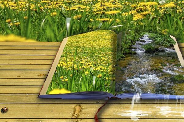 Poesía a Escena 2026 en Murcia, festival de poesía, recitales y teatro en diferentes centros culturales.