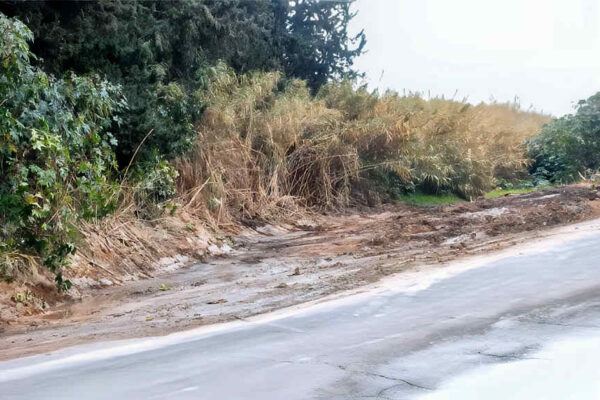 Tramo limpio de la Rambla del Garruchal en la zona de El Secano tras la intervención puntual con maquinaria pesada.