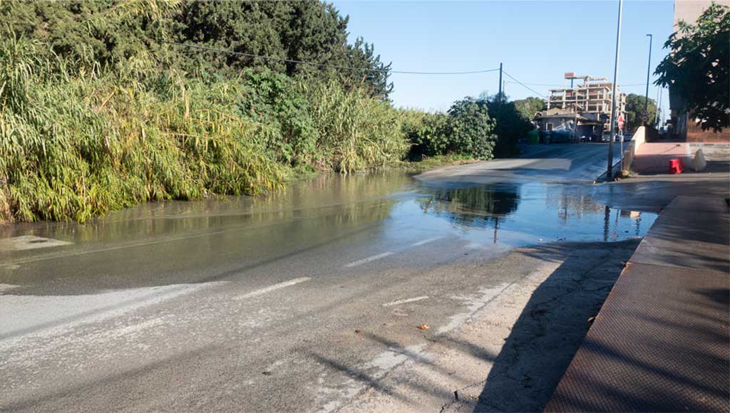 Estado de abandono de la rambla del Garruchal en El Secano, Murcia: cauce invadido por maleza y sedimentos, peligro de inundaciones por falta de limpieza de la CHS