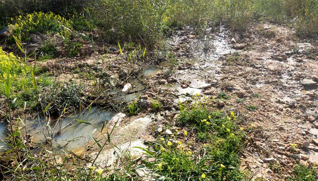 Afluencia de aguas contaminadas en el acuífero del Camino del Polvorín, Los Ramos, Murcia.