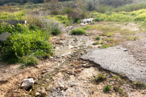 PSOE de Los Ramos emite una nota de prensa sobre vertidos y malos olores en el Camino del Polvorín de Los Ramos