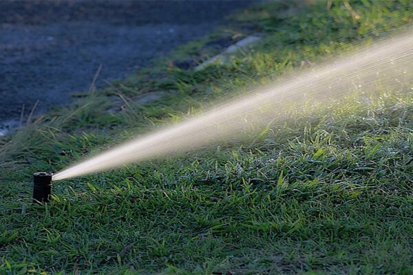 Aspersor regando un jardín en Murcia con sistema de riego inteligente
