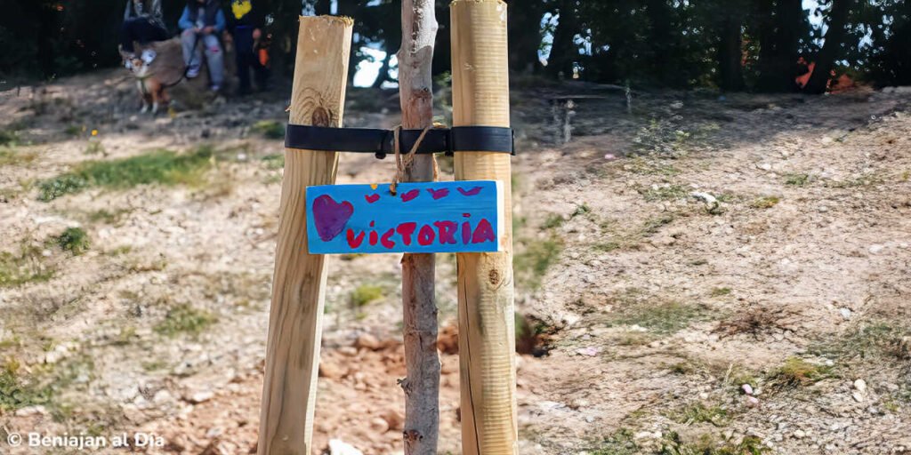 Placa con el nombre de Victoria colgada en un árbol amadrinado por una niña durante el plan Foresta 2030 en Beniaján
