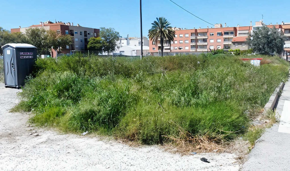 Solar abandonado con vegetación seca y maleza en Beniaján, Murcia, antes de la limpieza obligatoria por riesgo de incendios.