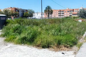 Solar abandonado con vegetación seca y maleza en Beniaján, Murcia, antes de la limpieza obligatoria por riesgo de incendios.