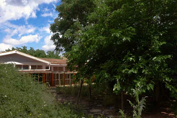 Antigua guardería de Beniaján con el edificio abandonado y zonas exteriores cubiertas de vegetación y maleza