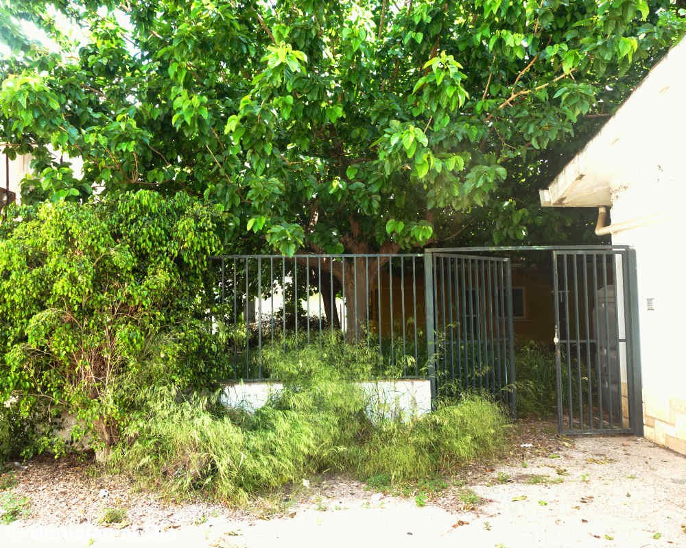 Entrada de la antigua guardería de Beniaján con verja abierta y vegetación y maleza creciendo de forma descontrolada