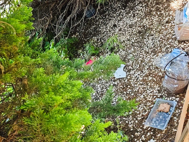 Zona de una colonia felina vandalizada en Beniaján con comederos y bebederos para gatos callejeros