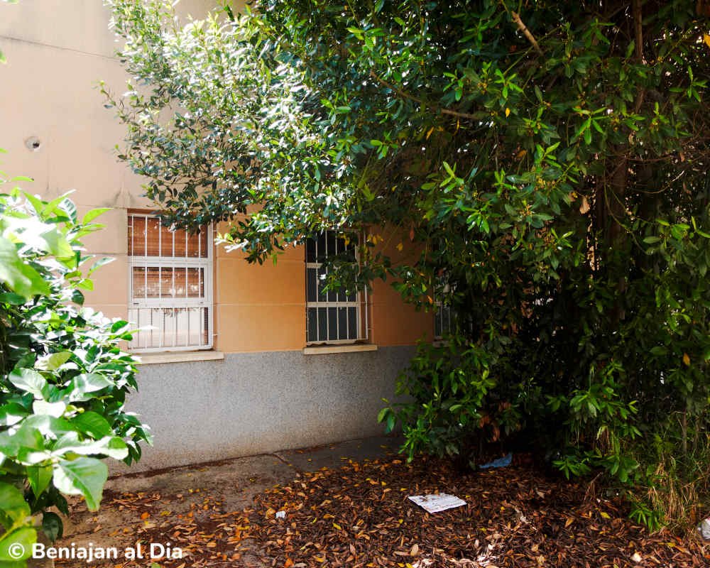 Fachada de la antigua guardería de Beniaján con ventanas visibles y entorno cubierto de vegetación y maleza