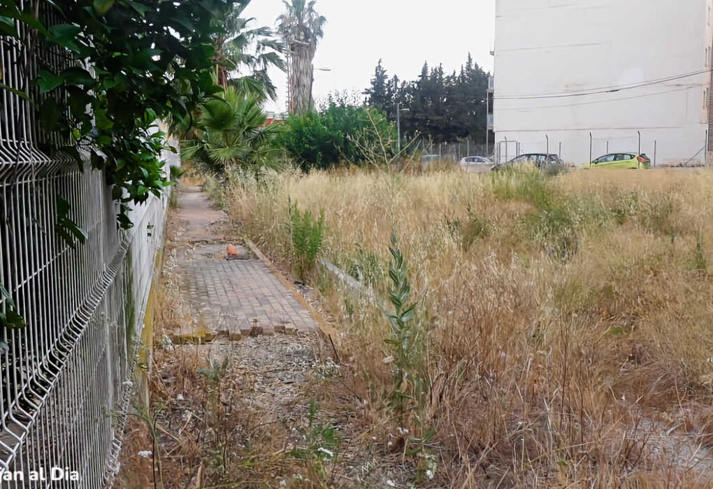 Acera deteriorada y vegetación seca en la calle Nieves Viudes Romero en Beniaján, con riesgo de incendio