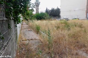 Acera deteriorada y vegetación seca en la calle Nieves Viudes Romero en Beniaján, con riesgo de incendio
