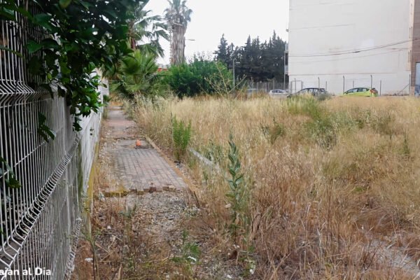 Acera deteriorada y vegetación seca en la calle Nieves Viudes Romero en Beniaján, con riesgo de incendio