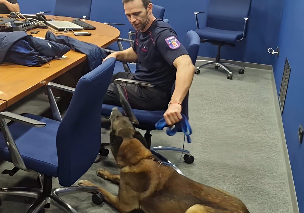 El bombero murciano Juan Antonio Pastor junto a su perro de rescate Hammer rumbo a Venezuela tras el terremoto
