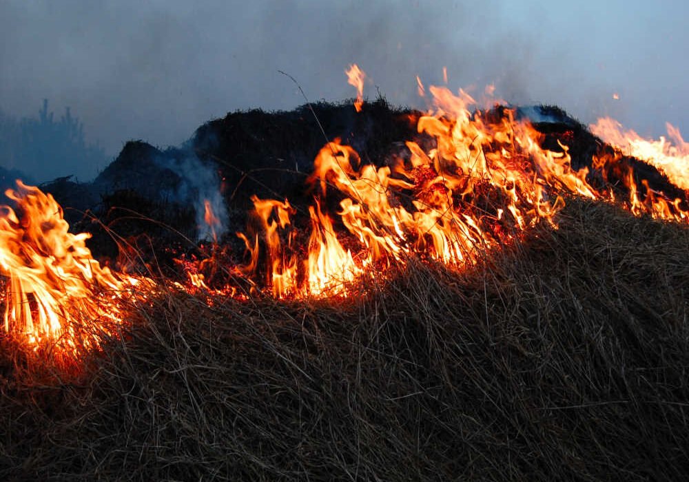 Incendio de maleza en Los Ramos (Murcia) junto a un camino rural