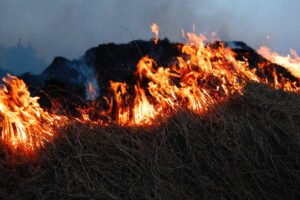 Incendio de maleza en Los Ramos (Murcia) junto a un camino rural