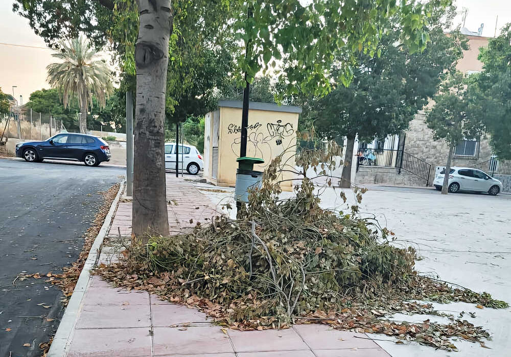 Ramas de árbol podadas en un jardín de Beniaján, Murcia