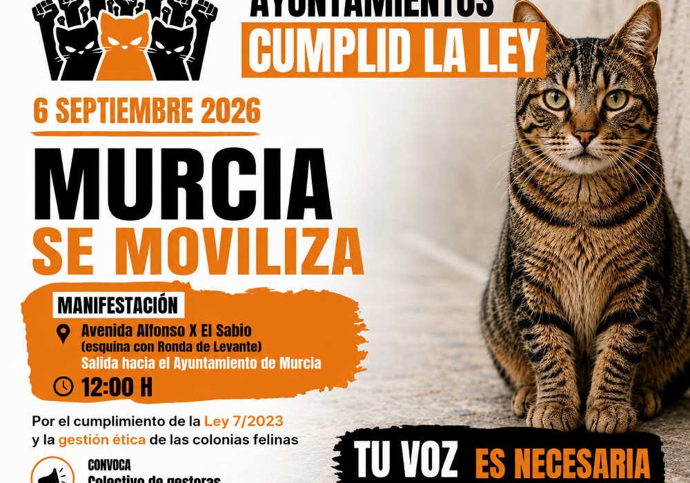 Cartel de la manifestación «Ayuntamientos, cumplid la ley» sobre colonias felinas en Murcia el 6 de septiembre de 2026.