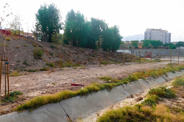 Plantones de árboles en una parcela del Plan Foresta en Beniaján, Murcia, junto a un camino de tierra.