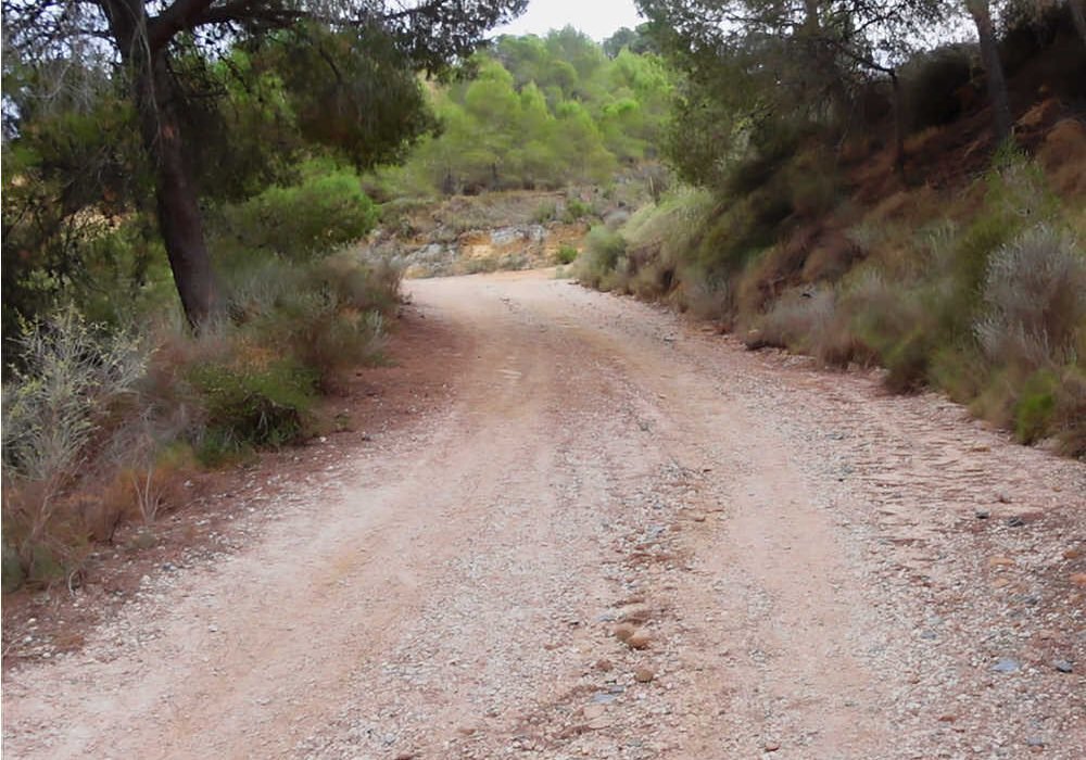 Ruta medioambiental por un espacio natural de Murcia incluida en el programa de actividades gratuitas de noviembre