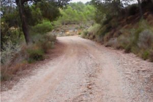 Ruta medioambiental por un espacio natural de Murcia incluida en el programa de actividades gratuitas de noviembre